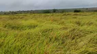 Foto 17 de Fazenda/Sítio com 3 Quartos à venda, 150000m² em Centro, Lagoa de Pedras