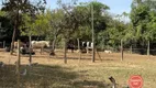 Foto 21 de Fazenda/Sítio com 3 Quartos à venda, 200m² em Zona Rural, Caetanópolis