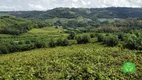 Foto 8 de Fazenda/Sítio à venda, 32230m² em Zona Rural, Monte Belo do Sul