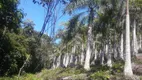 Foto 124 de Fazenda/Sítio com 2 Quartos à venda, 300000m² em Zona Rural, Pariquera-Açu