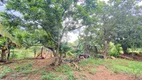 Foto 19 de Fazenda/Sítio com 4 Quartos à venda, 150m² em Zona Rural, Trindade