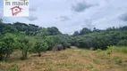 Foto 11 de Lote/Terreno à venda em Joaquim Egídio, Campinas