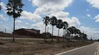 Foto 13 de Lote/Terreno à venda, 175m² em Centro, Cascavel