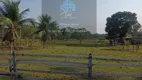 Foto 11 de Fazenda/Sítio com 4 Quartos à venda, 650m² em Balbina, Presidente Figueiredo