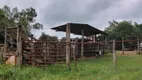 Foto 3 de Fazenda/Sítio com 3 Quartos à venda, 120m² em Zona Rural, Tietê