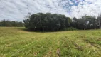 Foto 13 de Lote/Terreno à venda, 5000m² em Vila Delurdes, Campo Largo