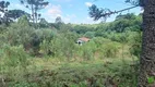 Foto 5 de Fazenda/Sítio com 1 Quarto à venda, 5000m² em Campo Largo da Roseira, São José dos Pinhais