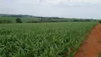 Foto 11 de Fazenda/Sítio à venda em Paracatuzinho, Paracatu