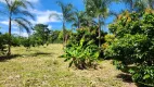 Foto 13 de Fazenda/Sítio à venda, 1113200m² em Setor Central , Bela Vista de Goiás