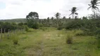 Foto 22 de Lote/Terreno à venda, 400000m² em Ferreiro Torto, Macaíba