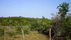 Foto 7 de Lote/Terreno à venda, 1000m² em VALE DO PIUM, Nísia Floresta