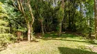 Foto 16 de Casa com 3 Quartos para alugar, 356m² em Orleans, Curitiba