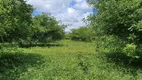 Foto 10 de Fazenda/Sítio com 3 Quartos à venda, 45000m² em Centro, Jandaíra