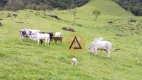 Foto 47 de Fazenda/Sítio com 11 Quartos à venda, 456000m² em Sana, Macaé