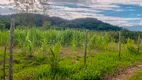 Foto 25 de Fazenda/Sítio com 3 Quartos à venda, 96000m² em Parque Nossa Senhora da Ajuda, Guapimirim