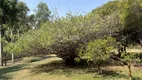 Foto 10 de Fazenda/Sítio com 3 Quartos à venda, 300m² em Centro, Jaci