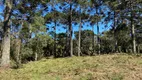 Foto 6 de Fazenda/Sítio à venda, 20000m² em Zona Rural, Urubici