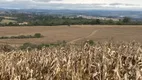 Foto 7 de Fazenda/Sítio com 1 Quarto à venda, 1m² em Area Rural de Sorocaba, Sorocaba