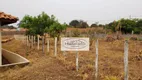 Foto 5 de Fazenda/Sítio com 2 Quartos à venda, 1089m² em Zona Rural, Cajuru