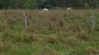 Foto 16 de Fazenda/Sítio à venda em Centro, São Miguel do Passa Quatro