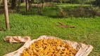 Foto 5 de Fazenda/Sítio à venda, 30000m² em Area Rural de Brazlandia, Brasília