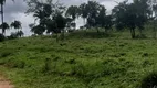 Foto 52 de Fazenda/Sítio com 3 Quartos à venda, 9150000m² em Zona Rural, Caldas Novas