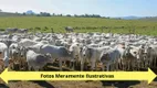 Foto 20 de Fazenda/Sítio à venda, 5000m² em Area Rural de Sao Joao da Boa Vista, São João da Boa Vista