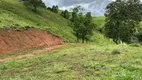 Foto 15 de Fazenda/Sítio à venda, 23400m² em Zona Rural, Delfim Moreira