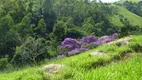 Foto 11 de Fazenda/Sítio à venda, 540000m² em Paraitinga, Cunha