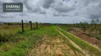 Foto 21 de Galpão/Depósito/Armazém à venda, 1200m² em , Caaporã