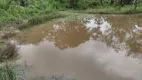 Foto 3 de Fazenda/Sítio à venda, 20000m² em Zona Rural, Fortuna de Minas