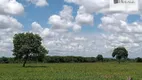 Foto 33 de Fazenda/Sítio à venda, 590m² em Zona Rural, Poconé