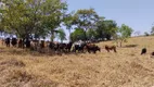 Foto 16 de Fazenda/Sítio com 1 Quarto à venda, 800m² em , Igaratinga