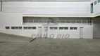 Foto 5 de Galpão/Depósito/Armazém para alugar, 600m² em Vila Carmosina, São Paulo