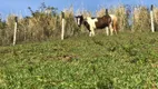 Foto 14 de Fazenda/Sítio com 3 Quartos à venda, 230m² em Jaconé, Saquarema