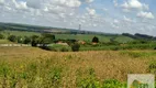 Foto 15 de Fazenda/Sítio com 2 Quartos à venda, 145200000m² em Centro, Cesário Lange