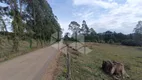 Foto 15 de Lote/Terreno para alugar, 5000m² em São Ciro, Caxias do Sul