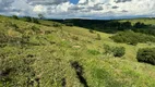 Foto 31 de Fazenda/Sítio com 3 Quartos à venda, 254100m² em Zona Rural, Jacutinga