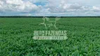 Foto 9 de Fazenda/Sítio à venda, 78820000m² em Zona Rural, Paranatinga