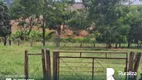 Foto 4 de Fazenda/Sítio à venda, 237m² em Zona Rural, Pedrinópolis