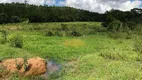 Foto 28 de Fazenda/Sítio para venda ou aluguel, 121000m² em Vila di Napoli Ajapi, Rio Claro