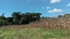 Foto 61 de Fazenda/Sítio à venda, 50000m² em Ponte Alta Norte, Brasília