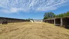 Foto 14 de Lote/Terreno à venda, 20000m² em Parque das Indústrias, Marília