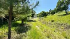 Foto 2 de Fazenda/Sítio com 2 Quartos à venda, 100000m² em Papucaia, Cachoeiras de Macacu