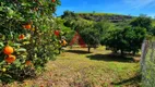 Foto 8 de Fazenda/Sítio com 3 Quartos à venda, 100000m² em Capoeirinha, Guararema