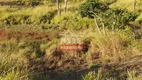 Foto 8 de Fazenda/Sítio à venda em Zona Rural, Niquelândia