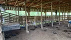 Foto 27 de Fazenda/Sítio com 3 Quartos à venda, 250000m² em Centro, Alfredo Wagner