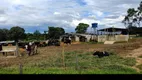 Foto 2 de Fazenda/Sítio à venda em Centro, Buritis