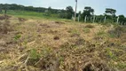 Foto 20 de Lote/Terreno à venda, 10000m² em , Paiçandu