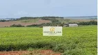 Foto 5 de Fazenda/Sítio com 6 Quartos à venda, 900m² em , Canarana